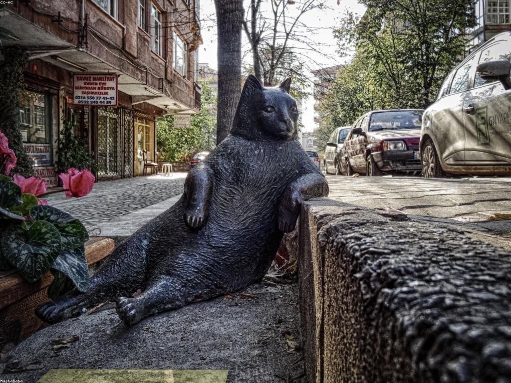 កម្រិតអាជីព VIP និងវិធីសាស្ត្រចុះចូល