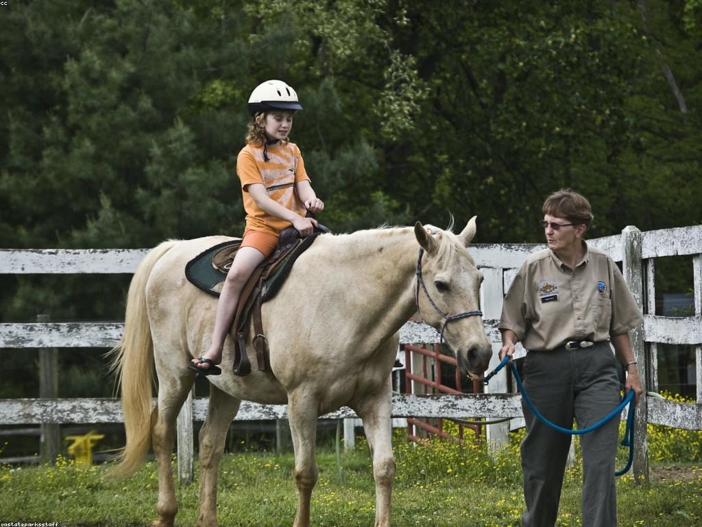 កម្មវិធីពិសេស៖ អ្វីដែលអ្នកត្រូវដឹង