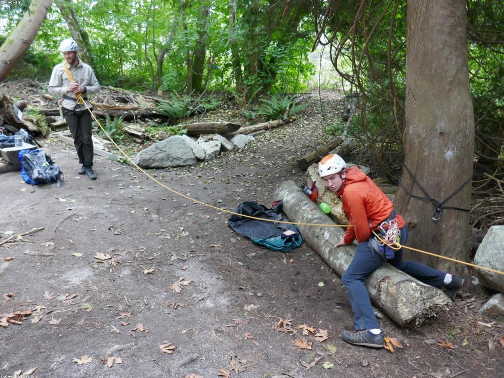 កម្រិតអាជីព VIP: ការកសាងអាជីពសម្រាប់អ្នកដែលចង់ទៅឈានឯកទេស